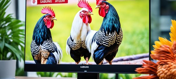 Sabung Ayam Online Singapura dengan Fitur Live Streaming